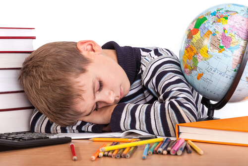 Bambino dorme sui libri