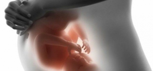 Lo sviluppo del bambino nell'utero mese dopo mese