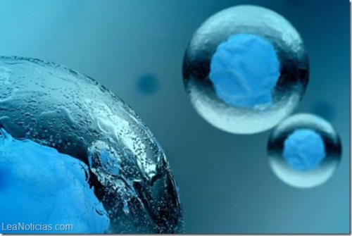 cellule