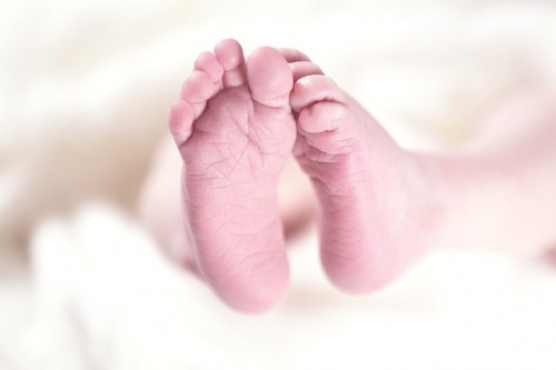 Piedini.