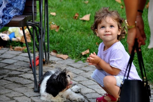 Neonati e animali domestici possono convivere, ma quando crescono è meglio: bimba con cagnolino.