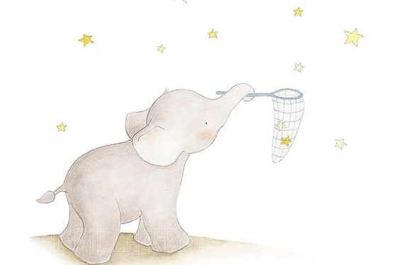 Elefante e stelle.