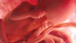 Fumare in gravidanza potrebbe modificare il DNA del feto