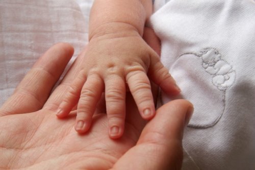 Mani della mamma e del neonato.