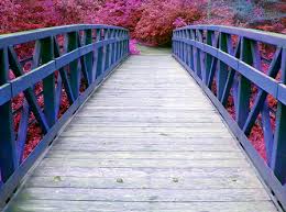 Il ponte che unisce un buon padre a suo figlio.