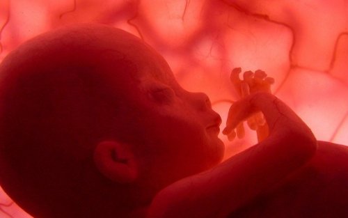 Feto che sorride: il sorriso del bambino comincia nell'utero della madre.