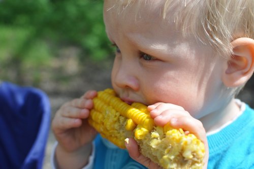 Bimbo con una pannocchia di mais:imparare a mangiare di tutto.