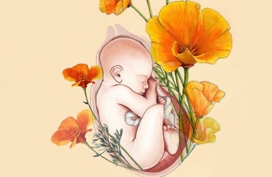 l'amore per il proprio figlio