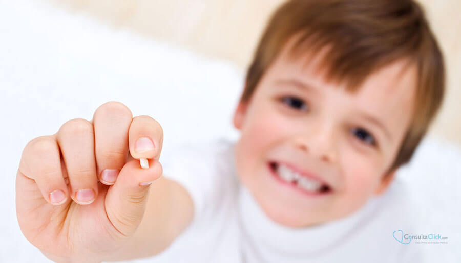 A partire dai due anni, è possibile spazzolare i denti con il dentifricio