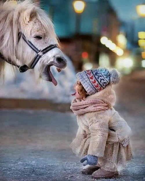 Bambina e cavallo si fanno la linguaccia