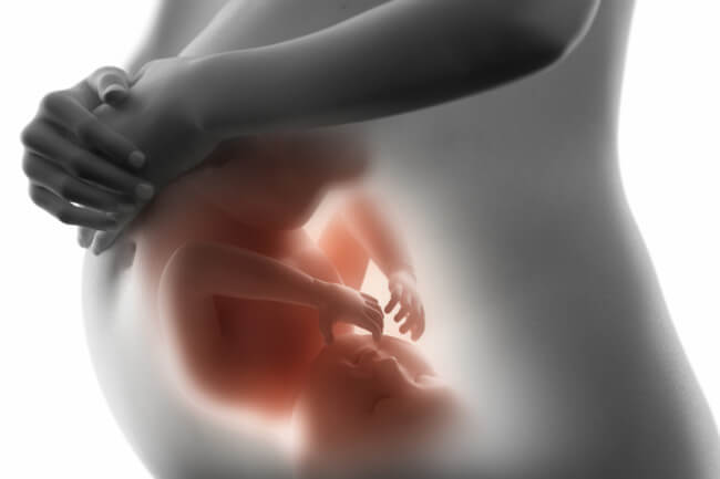 nell'utero materno comincia l'educazione emotiva