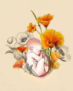 Amiamo nostro figlio fin dal suo primo battito