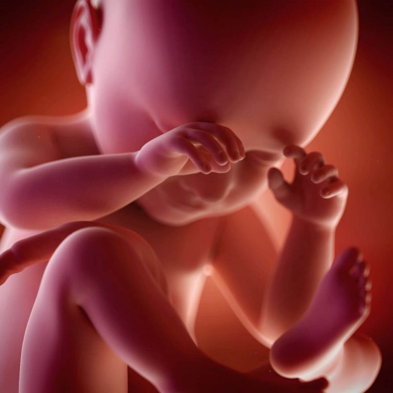 Il miracolo della vita: i primi movimenti del bebè
