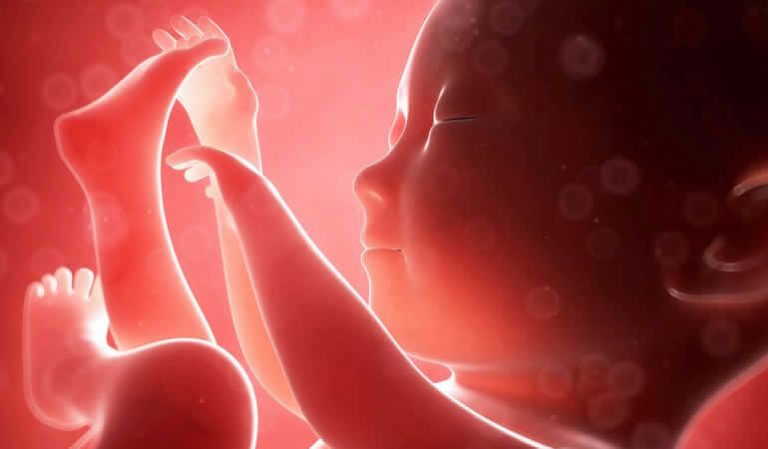 Cosa sente il feto nella pancia della mamma?