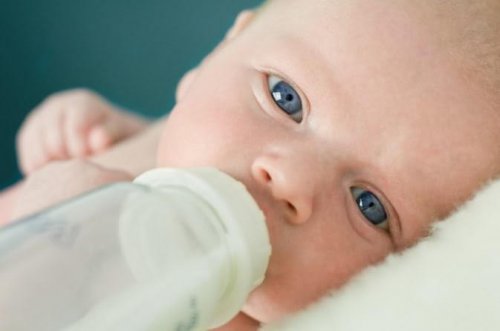 Fino a 6 mesi, i neonati possono bere solo latte materno