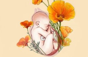 La mamma è come un habitat per il neonato