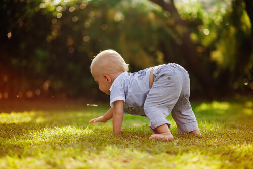 Bambino che prova a gattonare sull'erba