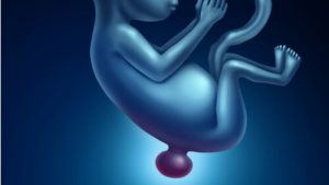 Neonati con la spina bifida: cause e trattamenti