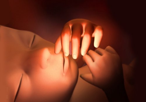 Alla 25a settimana, il piccolo misura circa 43,6 centimetri e ha un peso approssimativo di 660 grammi