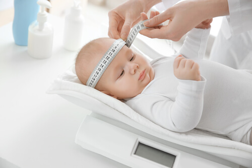 I percentili del bebè permettono di determinare se il peso e le misure del bambino si trovano nella media