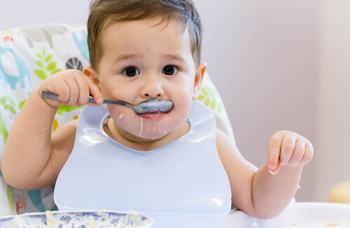 4 piatti da mangiare con il cucchiaio per bambini tra i 12 e i 24 mesi