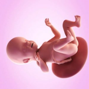 26esima settimana di gravidanza: cosa succede