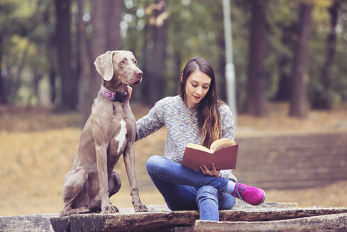 Ragazza legge un libro al parco
