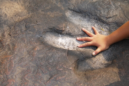 Appassionandosi ai dinosauri, i bambini si pongono domande sulle origini del mondo e il passato della Terra