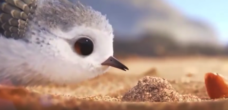 Uno dei tre cortometraggi per educare ai valori è Piper. Un film sullo sforzo e sul miglioramento di sé