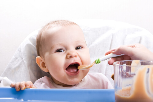 Ricette salutari per bebè dai 9 ai 12 mesi: nuovi sapori