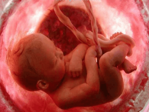 La postura del feto indica come sarà il vostro parto