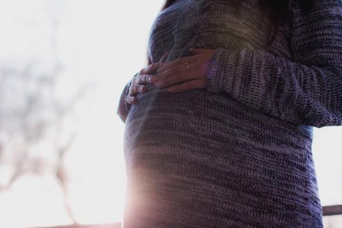 inseminazione artificiale