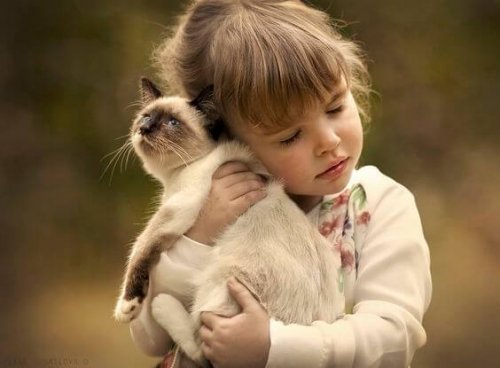 Gli animali domestici possono essere la causa delle principali reazioni allergiche