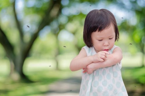 Perché mio figlio viene sempre punto dalle zanzare?