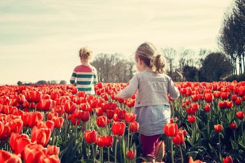 I litigi tra fratelli possono fare in modo che i bambini si allontanino per molto tempo