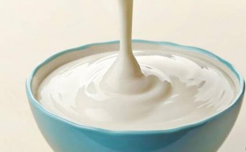 ciotola di yogurt al naturale 