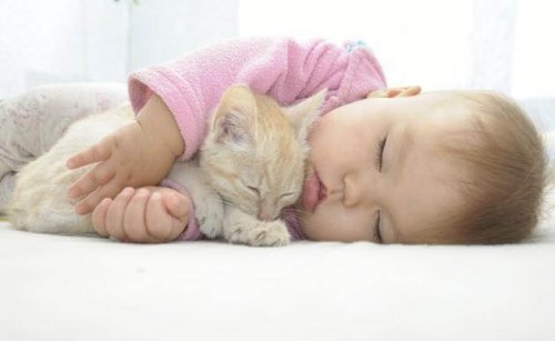 I miti della toxoplasmosi in gravidanza