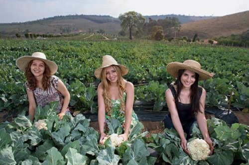 Amiche in campagna