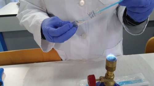 Analisi per migliorare la diagnosi di mastite