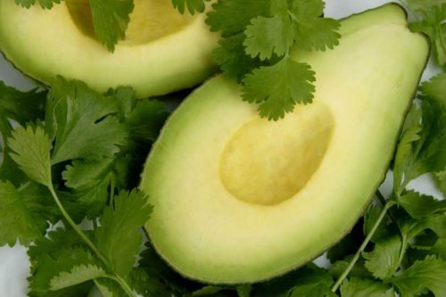 Avocado
