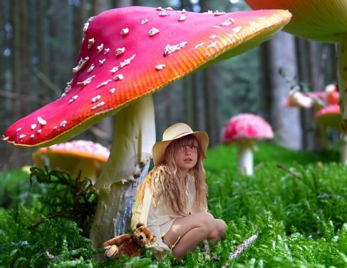 Bambina sotto un fungo
