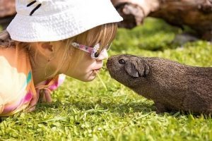 5 valori che dovremmo insegnare ai nostri figli
