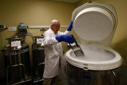 cellule staminali in laboratorio