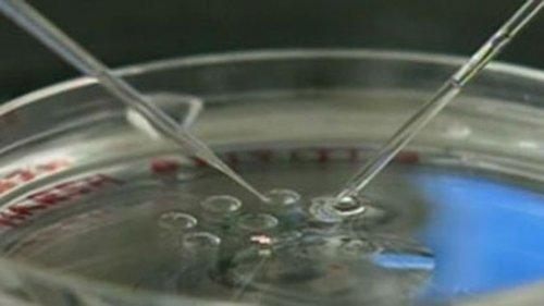 fecondazione in vitro coppia di 70 enni