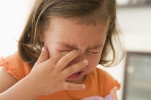 Un bambino di 15 mesi è in grado di capire il significato della parola NO.