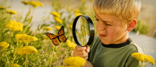 Bambino guarda una farfalla