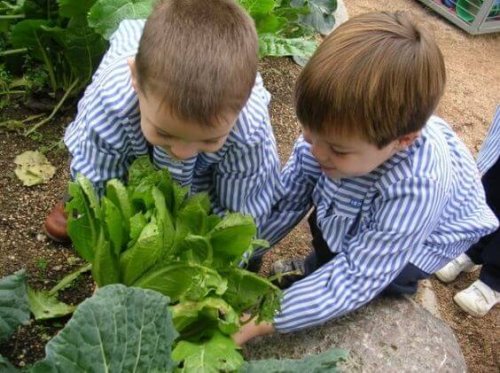 piantate il seme che vostro figlio coltiverà per la vita