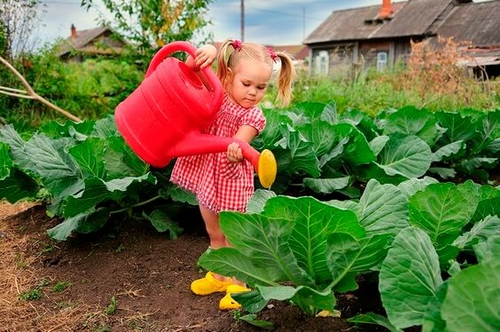 Piantate il seme che vostro figlio coltiverà per la vita
