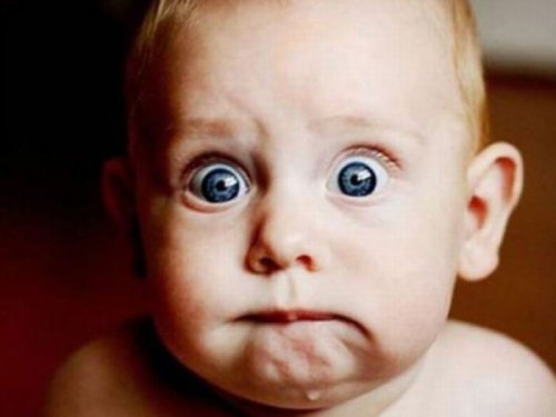 Anche la mela è uno degli alimenti che favorisce la stitichezza nei bambini