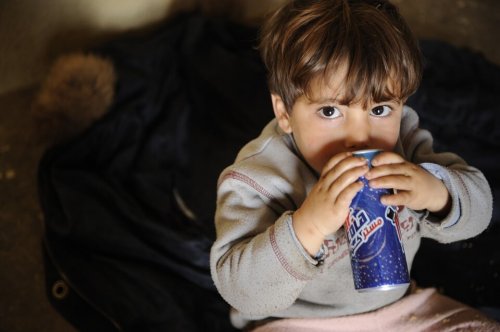 al giorno d'oggi, sono molti gli alimenti alternativi a disposizione di chi soffre di intolleranze alimentari